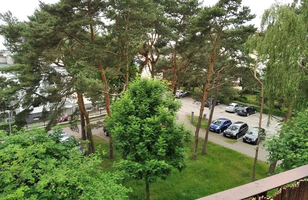 Apartament Aurelia-1