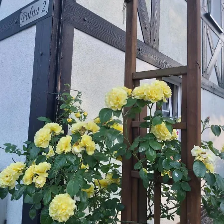 Nadmorskie Apartamenty-3