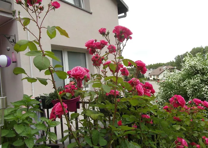 Villa Banita Ustka