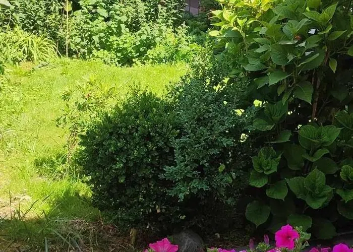 Pokoje Gościnne Anna Ustka